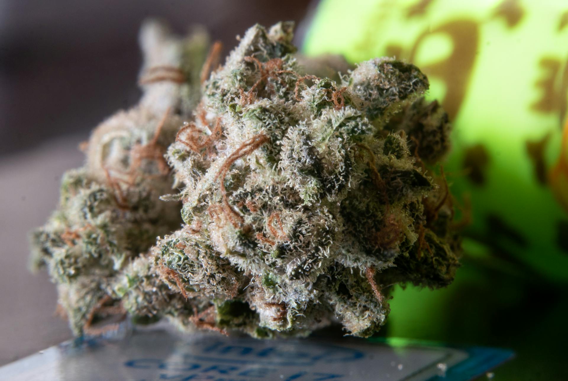 Marijuana bud that affects the cannabinoid receptors