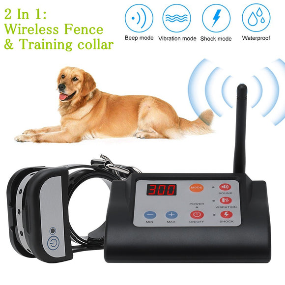 dog training collar and fence