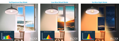 BioLight™ Downlight - Full Spectrum Light