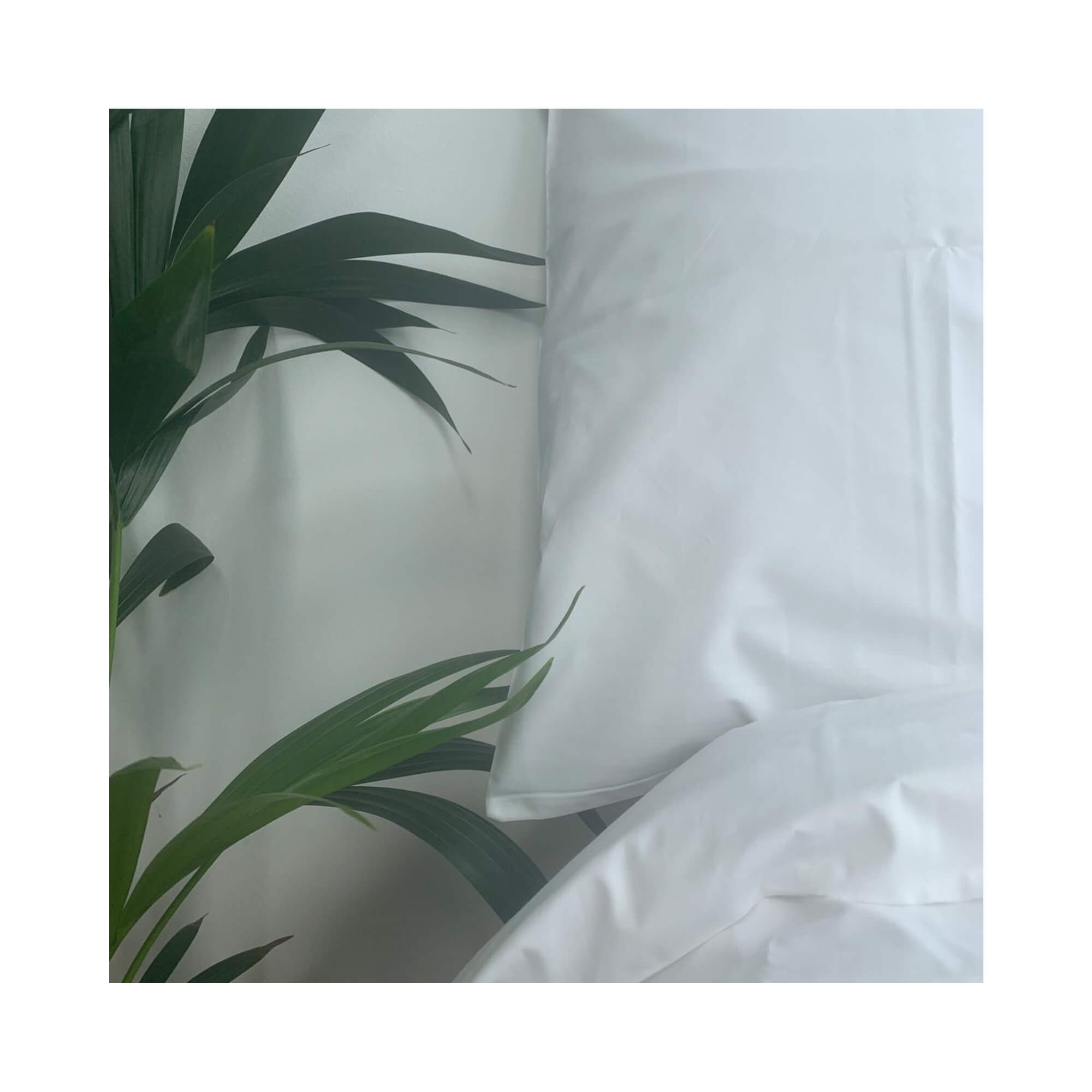 FouFurnishings | Arianna Percale Organic Cotton | Duvet Cover 200TC Bundle - Conscious Spaces product image