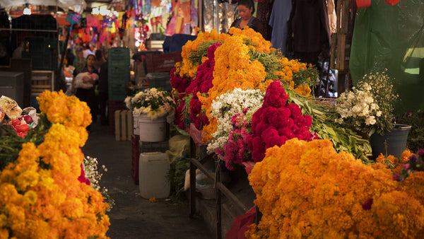 Mexico City flower market