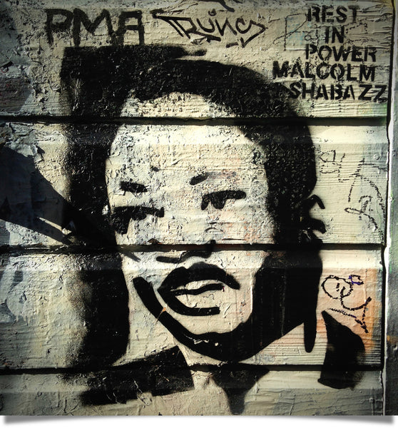 Jamaica Kincaid on the Courage of MLK: photo by Eu2Be Founder Charla Jones