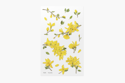 Appree Bigleaf Hydrangea | Pressed Flower Sticker