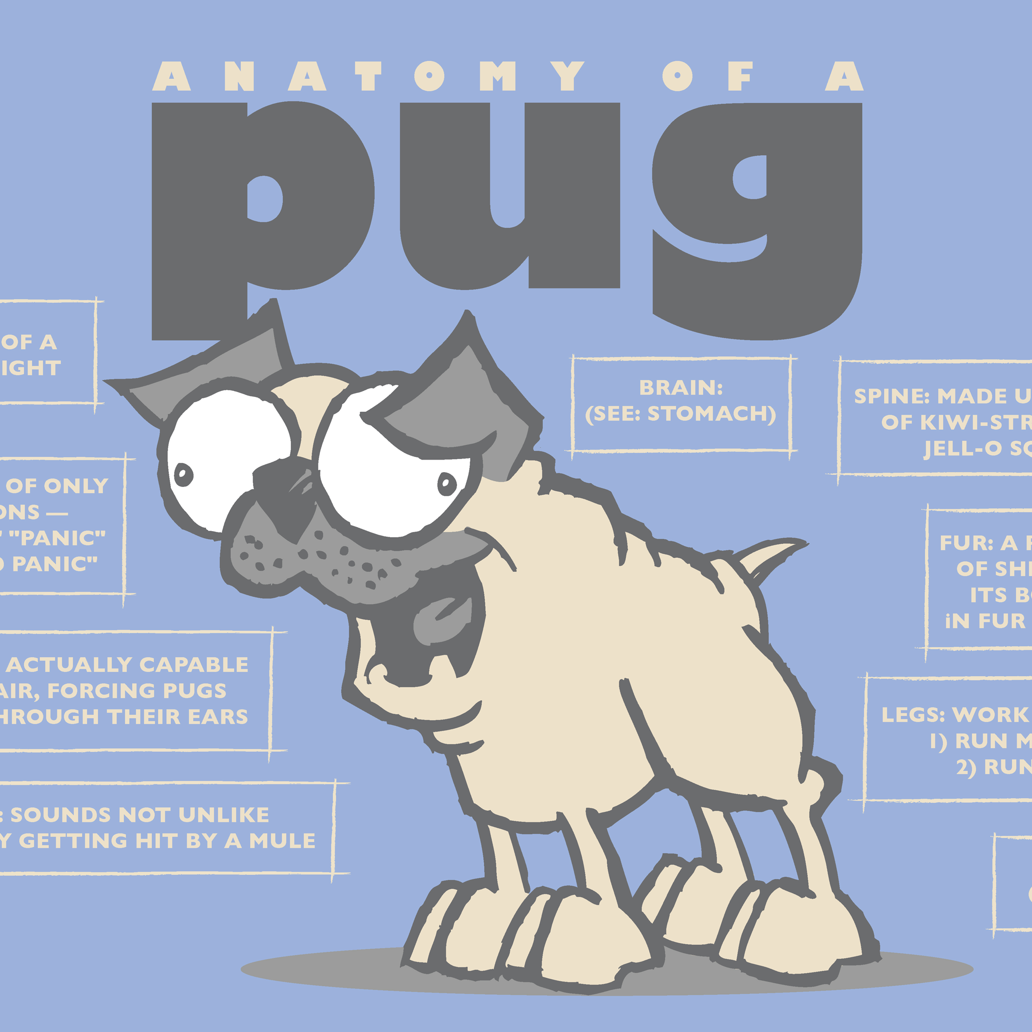 Print Anatomy of a Pug Sheldon & Drive