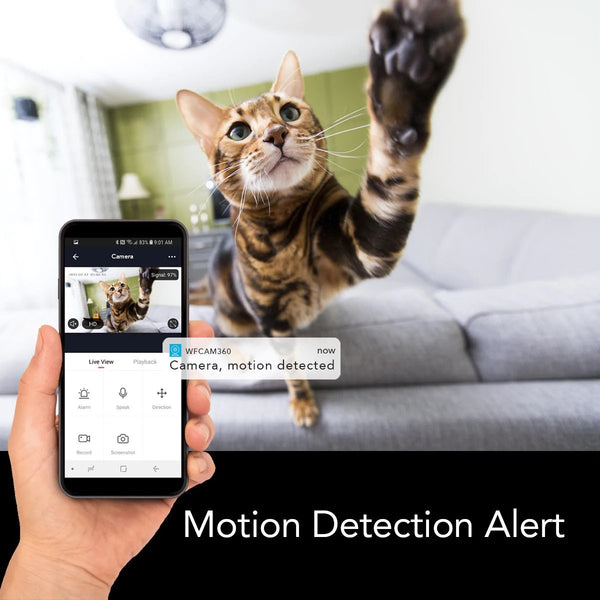 Wifi Camera with Motion Detection