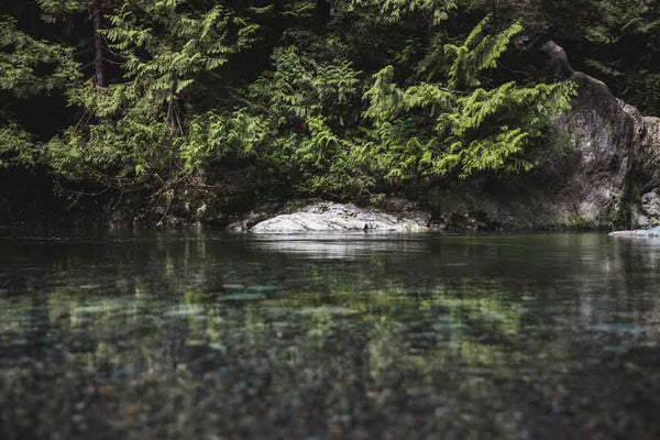 Pure Mountain Rainwater in our skincare