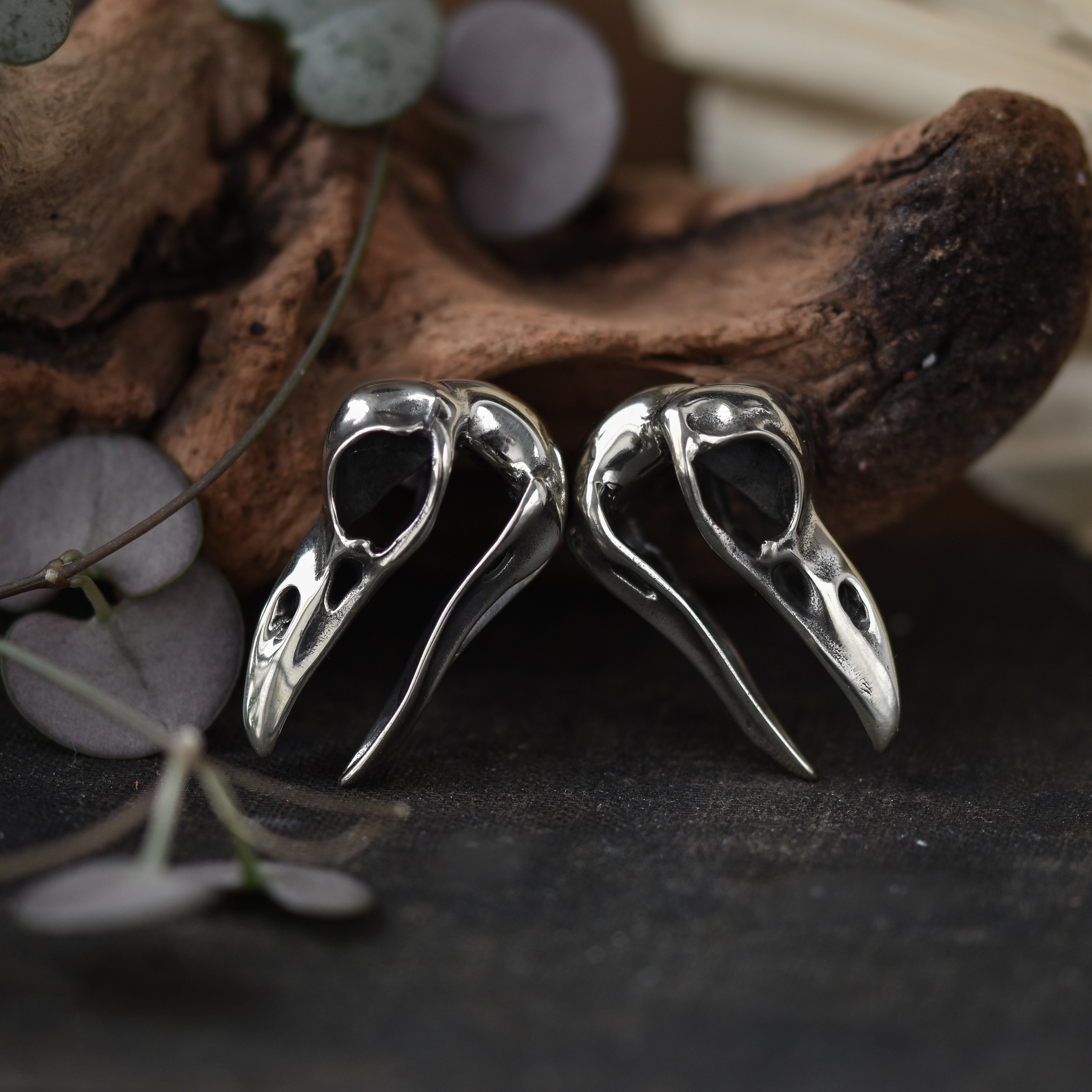 Bird skull store ear weights