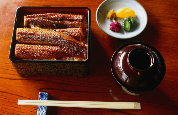 unagi grilled eel Japanese food