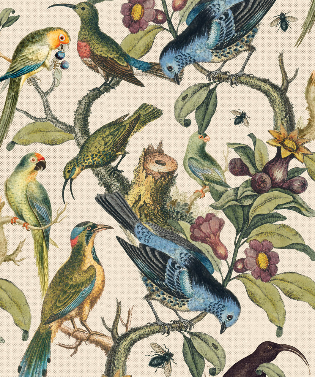 Cranes Wallpaper  Stunning Bird Wallpaper Design  Milton  King
