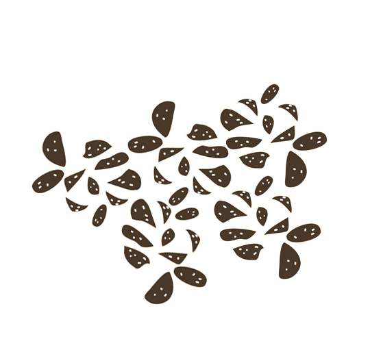 Black caraway seeds