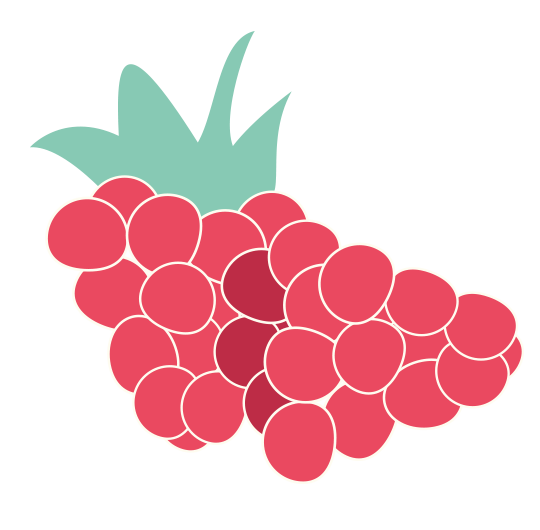 raspberry