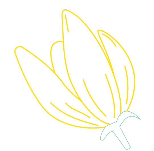 Ylang-Ylang-Blume