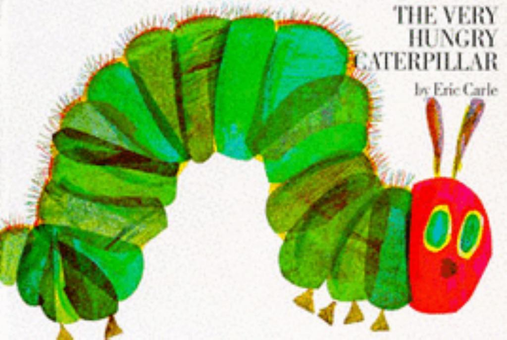 The Very Hungry Caterpillar by Eric Carle My 9780241017982