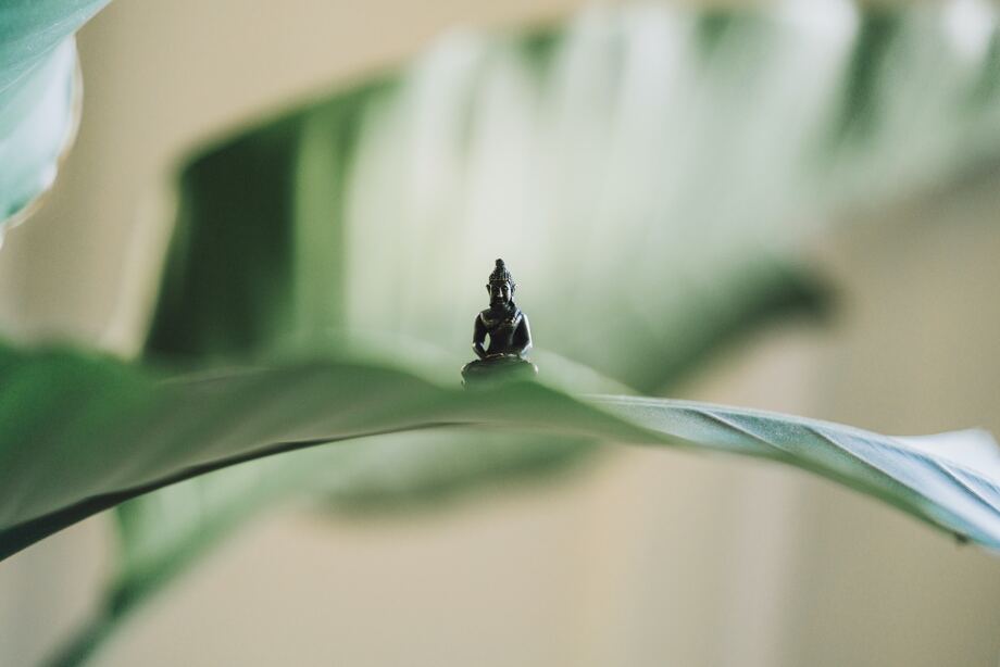 Meditation statuette balanced on a green leaf | Eco Yoga Store