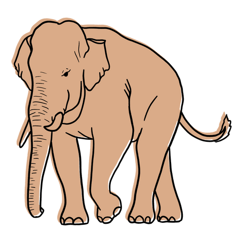 Illustration of a elephant