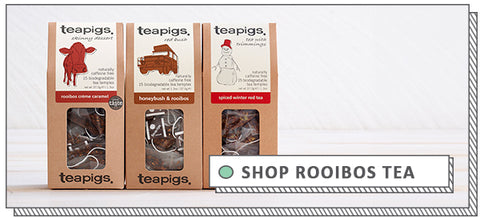 teapigs rooibos tea range in a line