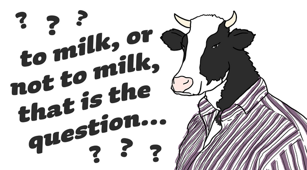 a illustration of a cow with the text "to milk, or not to milk, that is the question..."