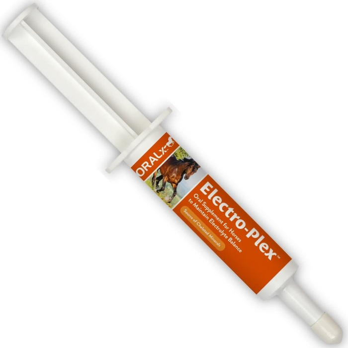 electrolyte paste for horses