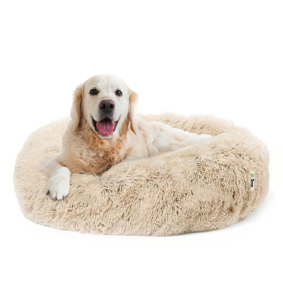 Certificaat bespotten overschrijving Joa Dogbed Comfort | Orthopedische Hondenmand | Hondenkussen –  Hondenmagazijn