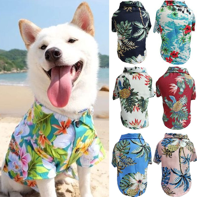 samenvoegen Gelijkwaardig Bruin Joa® Summer Wear | Hondenblouse | Hondenkleding – Hondenmagazijn
