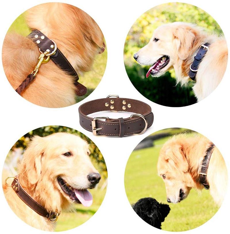 klassiek feedback vrijdag Joa® Leather | Leren halsband | Hondenhalsband – Hondenmagazijn