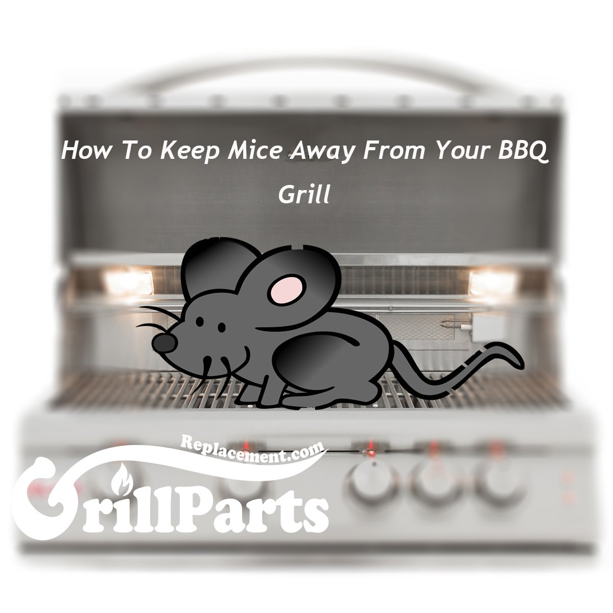https://cdn.shopify.com/s/files/1/0247/5651/8948/articles/How-To-Keep-Mice-Away-From-Your-BBQ-Grill.jpg?v=1601629103