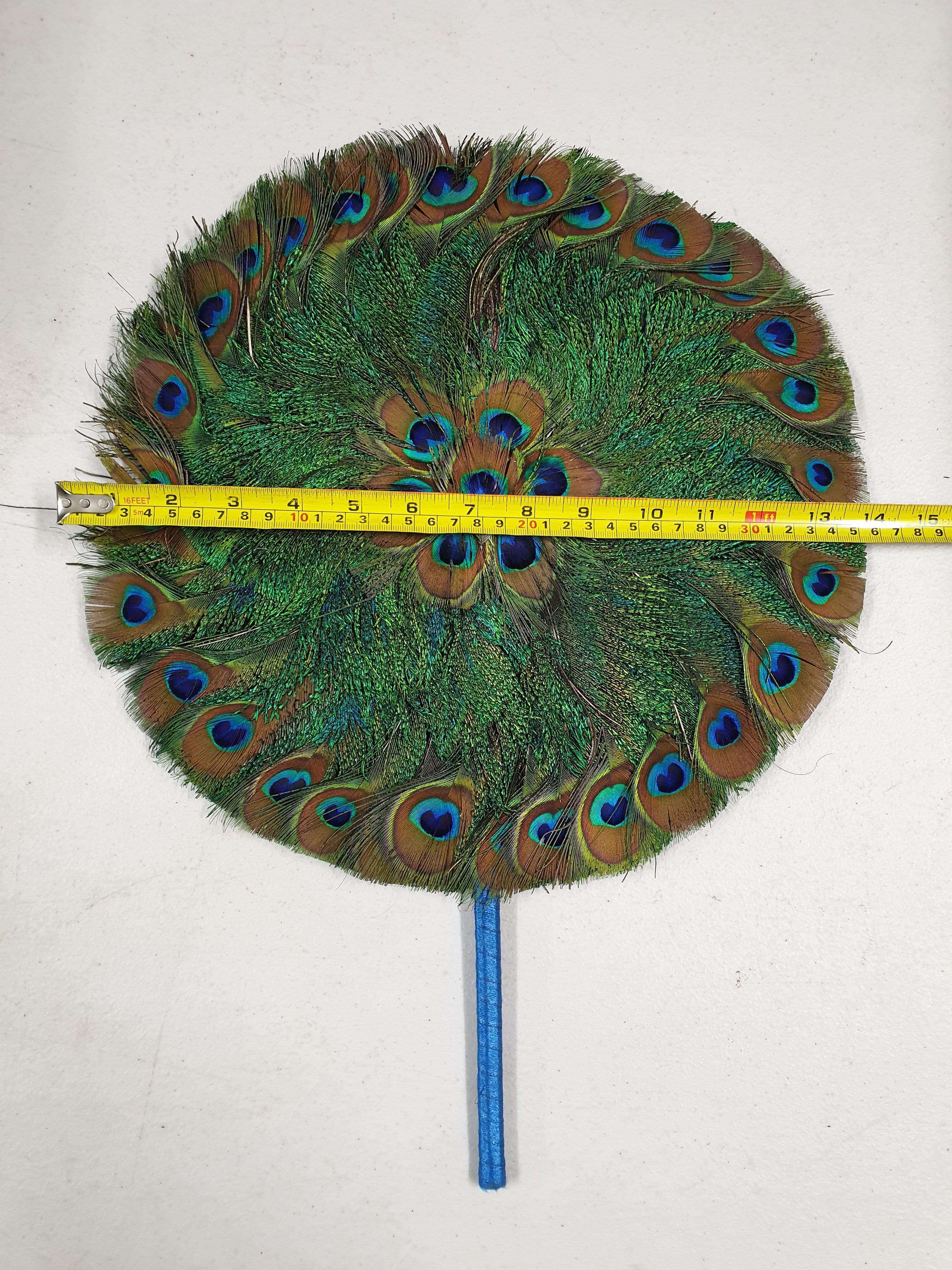 Peacock Feather Fan Sacred Boutique