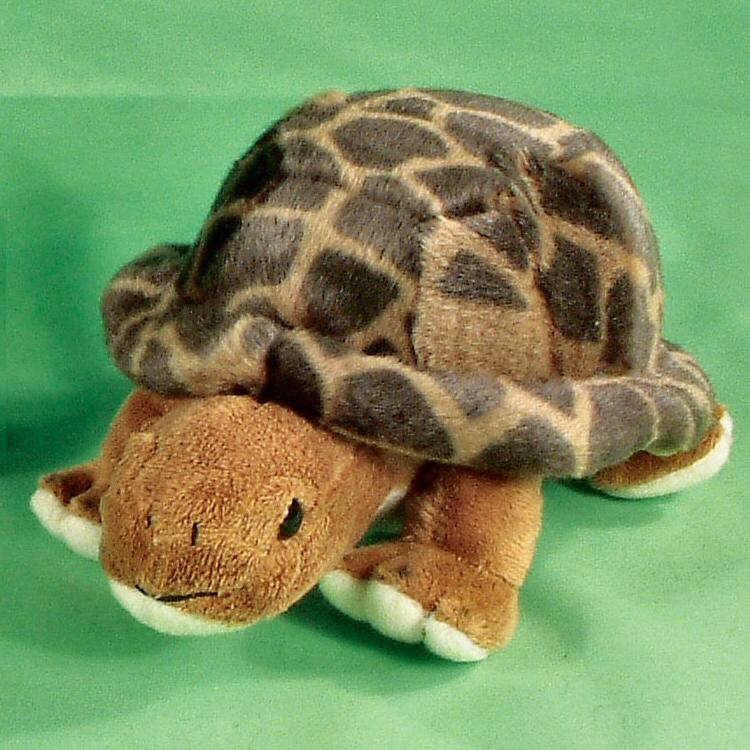 soft toy tortoise