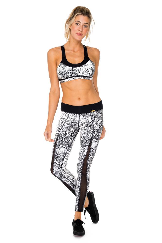 GORGEOUS CHAOS - Elastic Band Sports Bra & Mesh Cut Out Legging • Mult –  Luli Fama AU