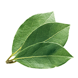 bay leaves