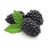 blackberries