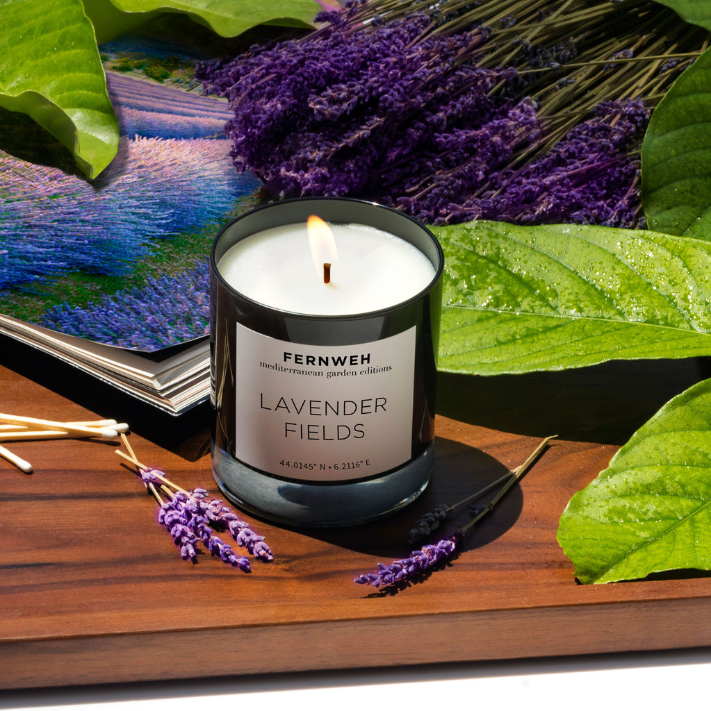 Discover Size - Eco-Friendly Sand Candles