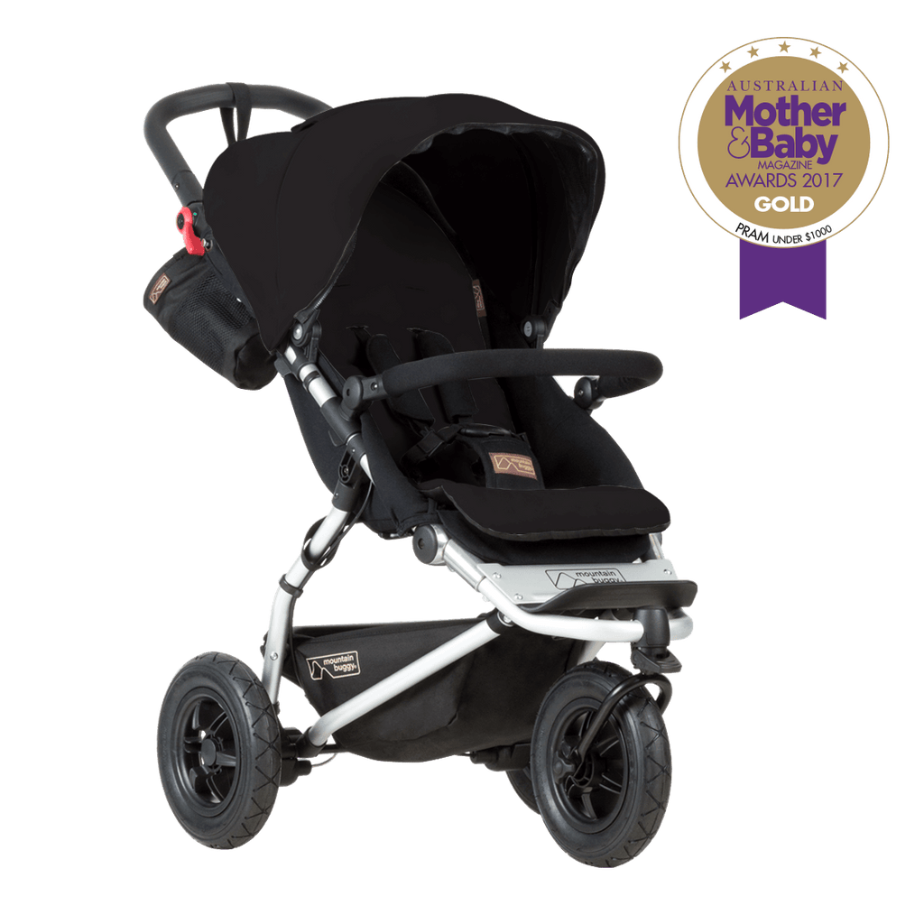 bugaboo cameleon versions