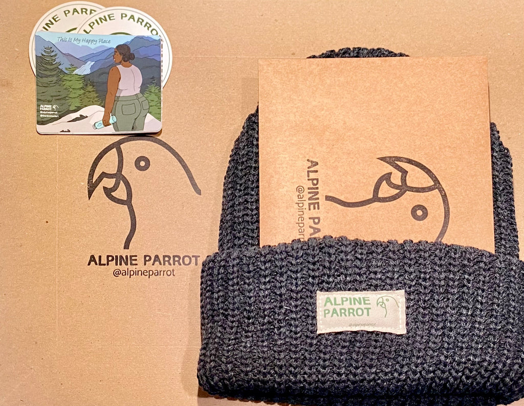 Alpine Parrot stickers and a beanie arranged on packing materials ready to ship. 