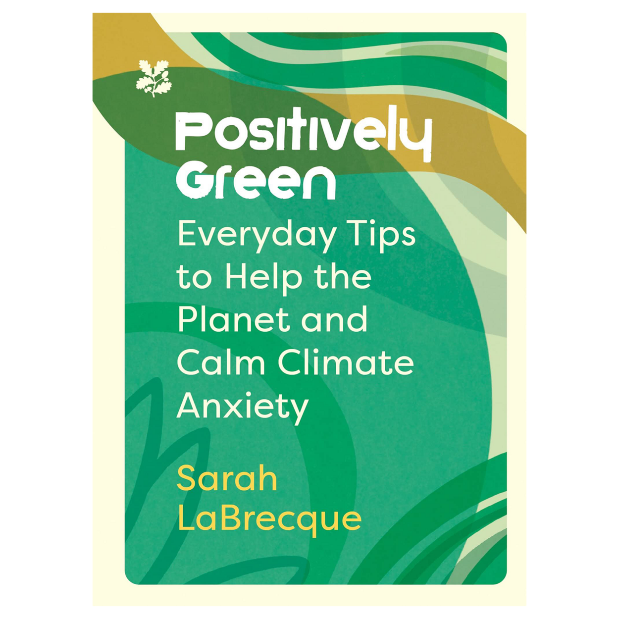 Positively Green: Everyday Tips To Help The Planet by Sarah LaBrecque