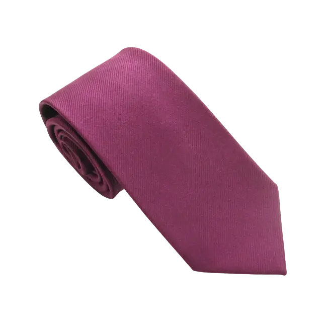 Van Buck Plain Silk Tie for Men