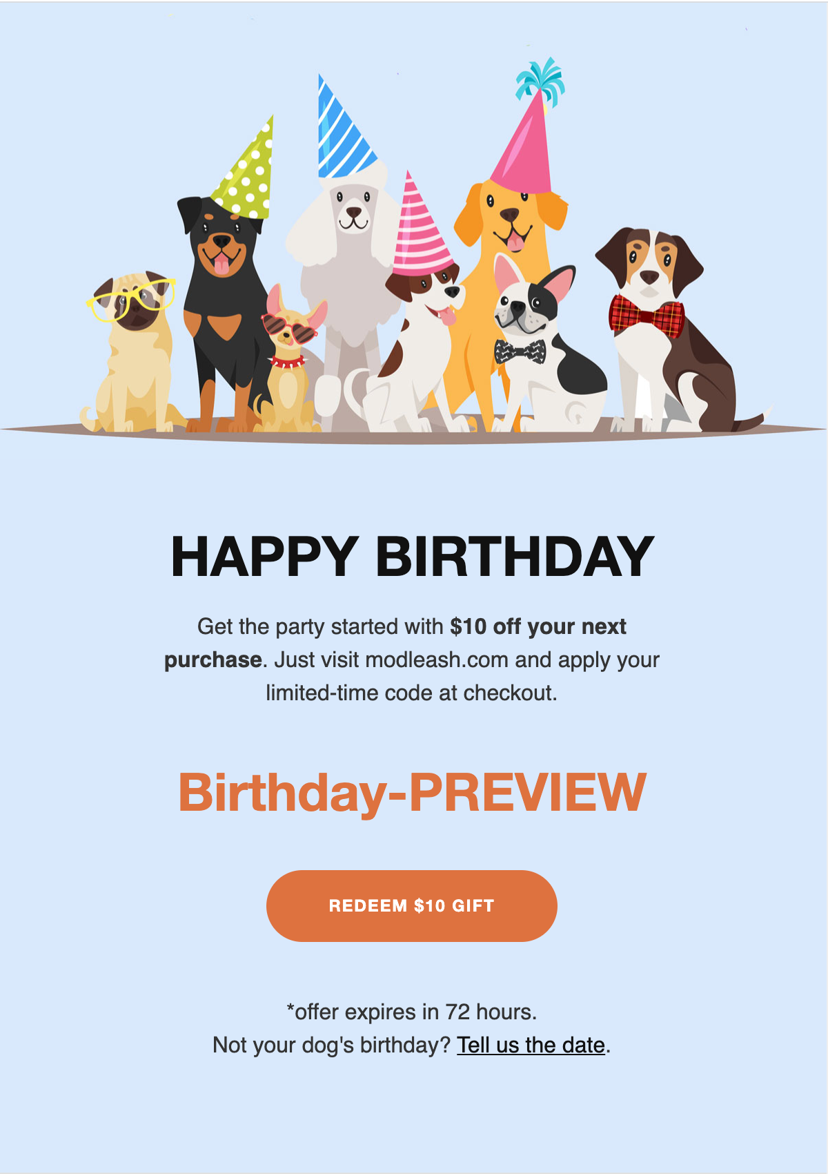 Modleash Dog Birthday