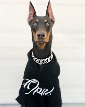 doberman with gold chain