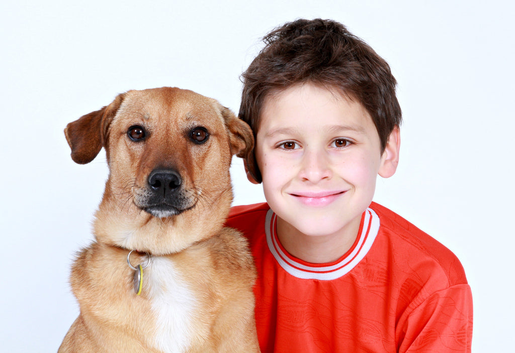 Dog Reactiveness Towards kids
