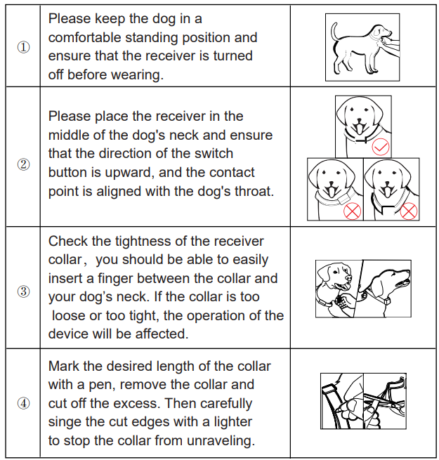 Precautions when training with shock collar