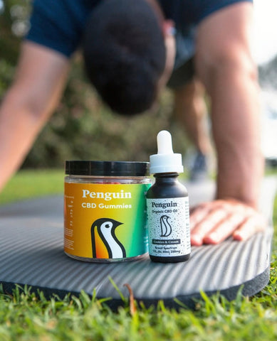 CBD Gummies and CBD Oils for Workouts