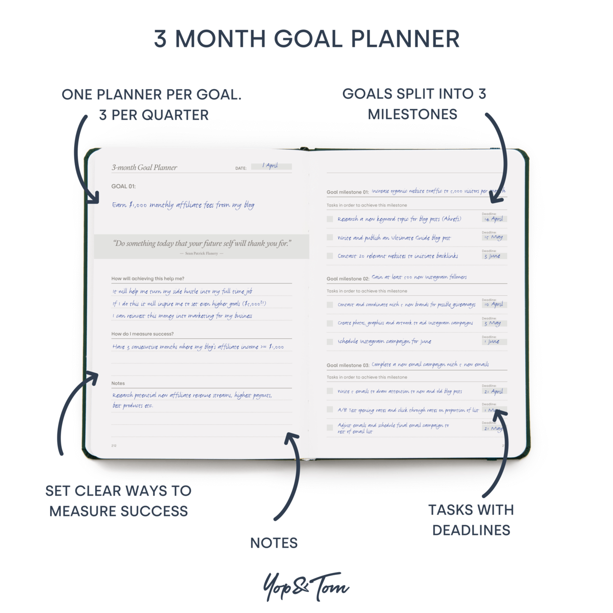 3 month goal planner infographic