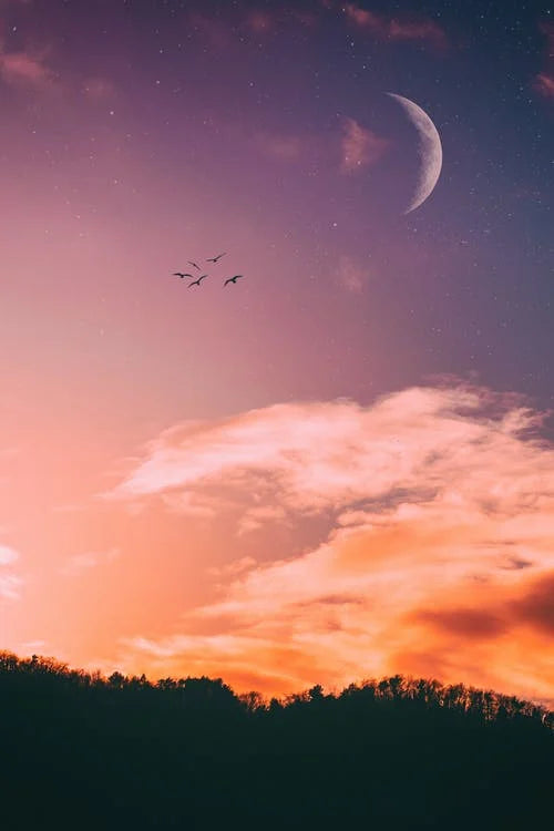 A pink, purple and orange sky with a crescent moon over a forest