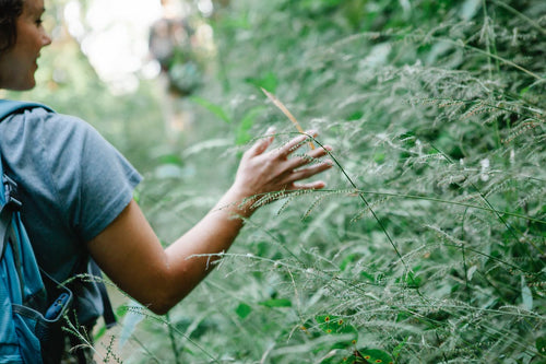 woman on a hike touching a green plant