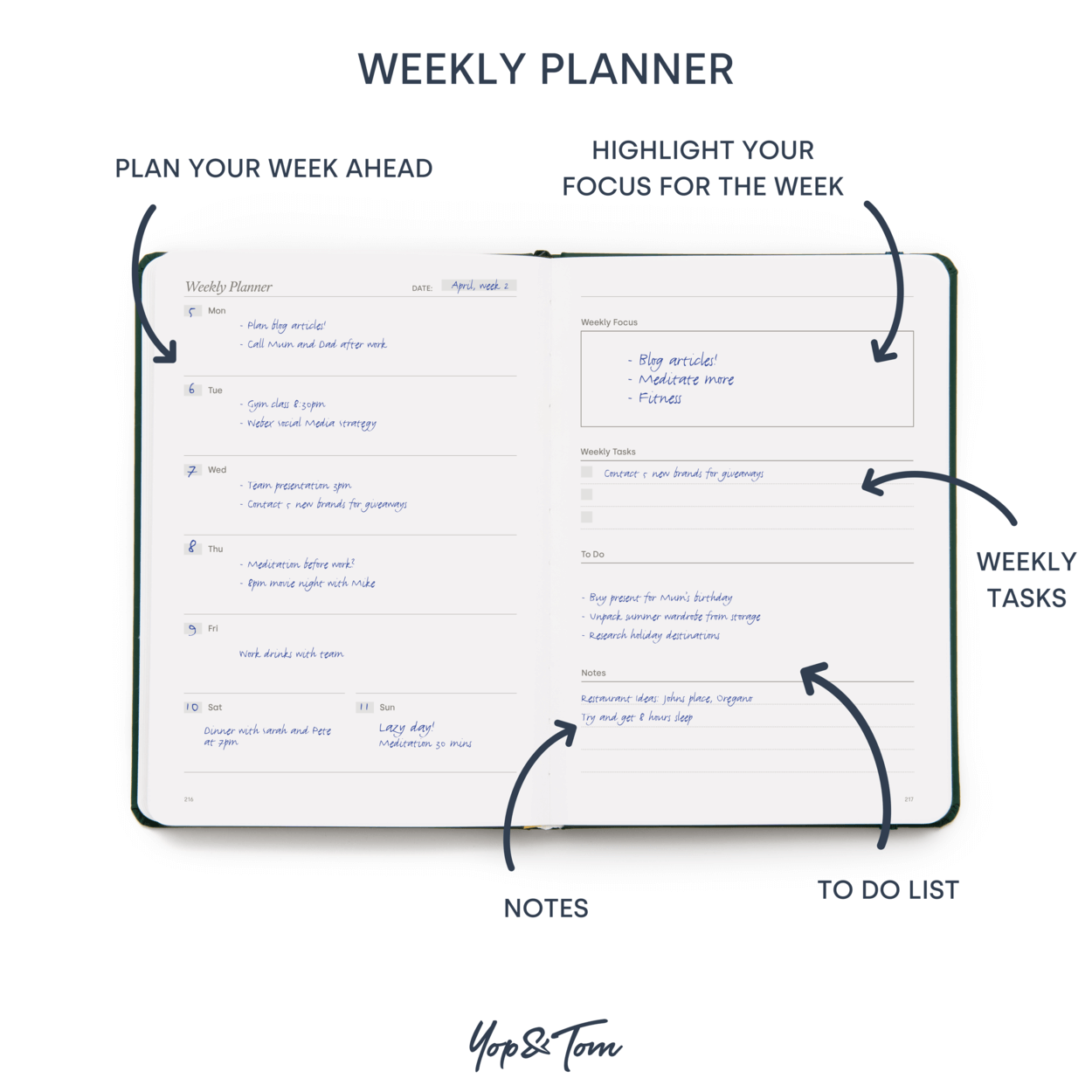 Weekly planner infographic