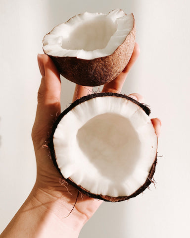 Why Coconut Wax makes for the Best Candle – sundip candle co.