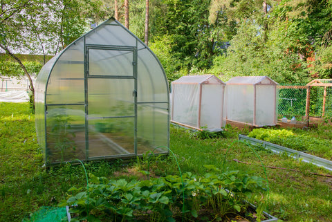 3 greenhouses
