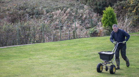 lawn pre-emergent