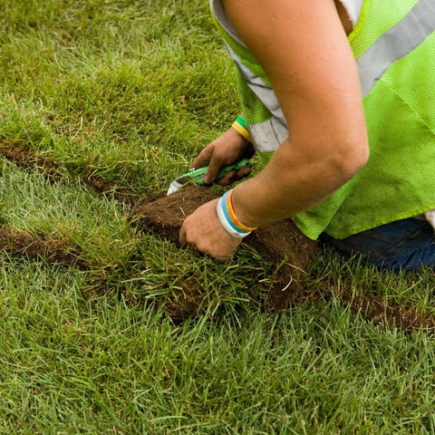 Laying sod