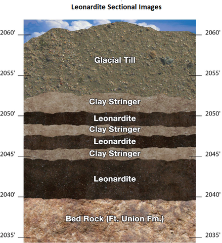 Leonardite sectional images